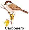 El carbonero