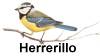 El herrerillo
