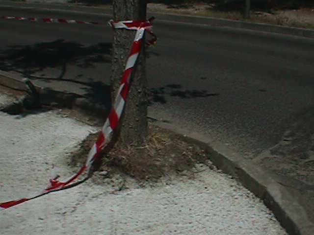 mas cemento en el itinerario natural