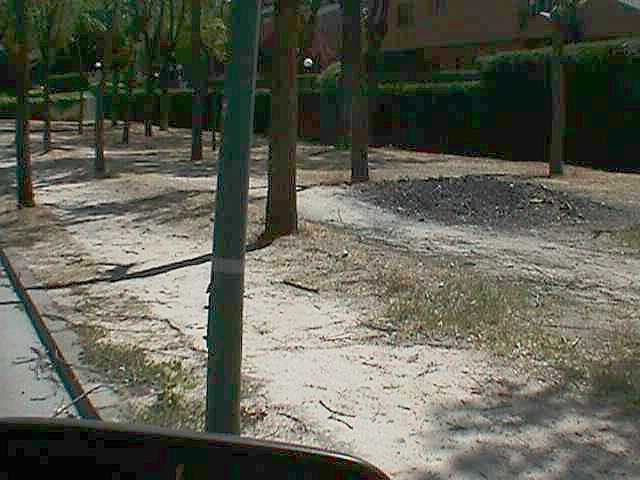 Vandalismo en los paseos verdes peatonales