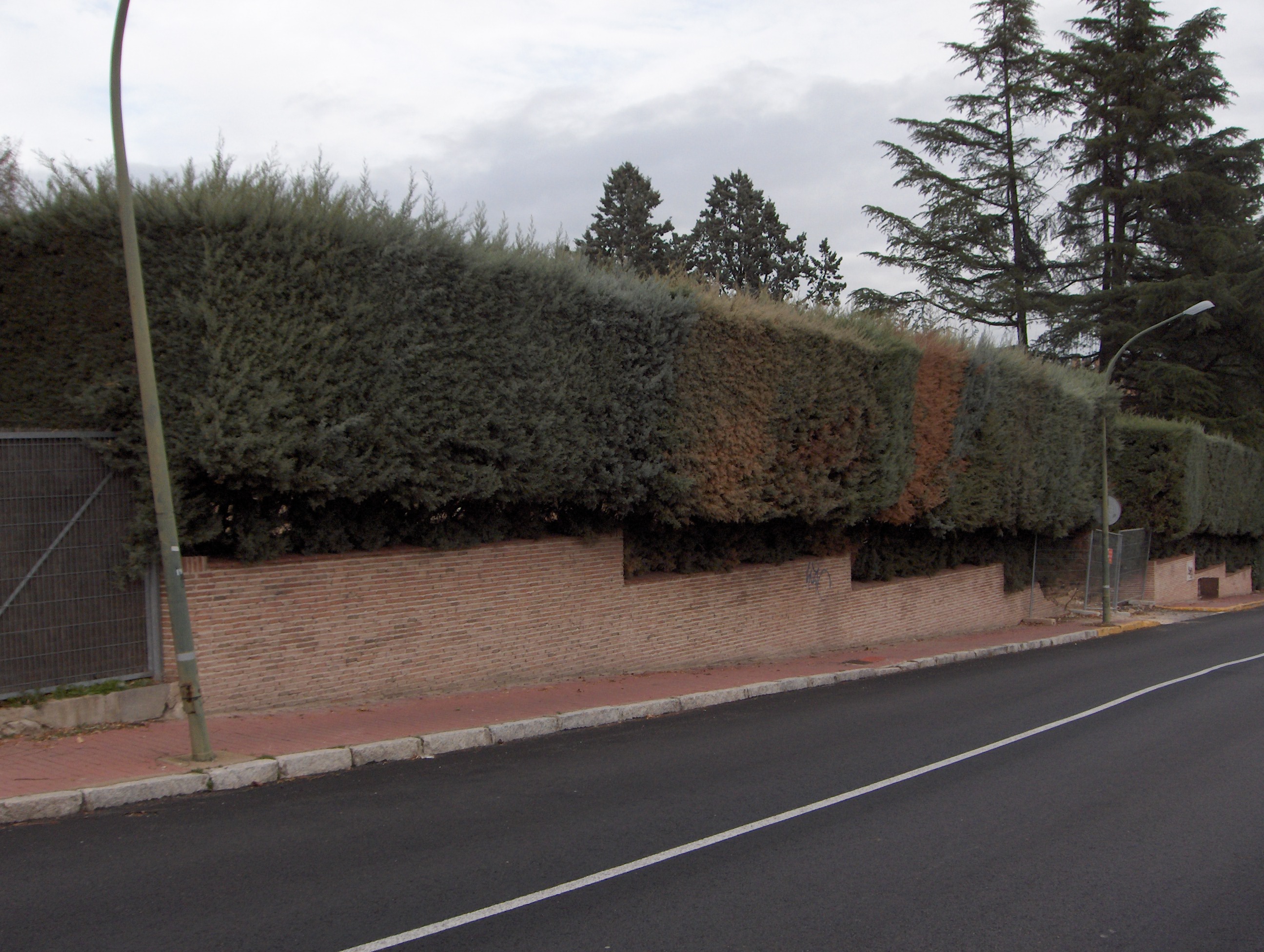Jardin Gomez Acebo antes